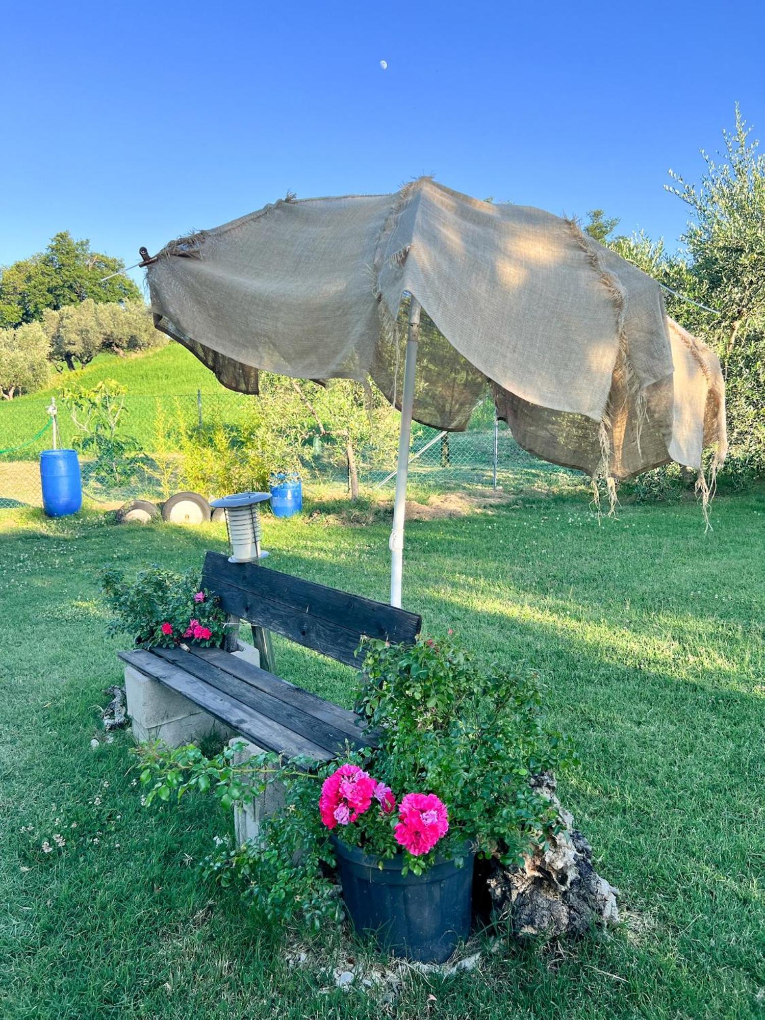 Relaxing Farmhouse サンマリノ エクステリア 写真